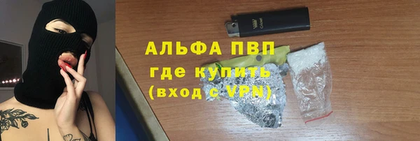 сатива Алзамай