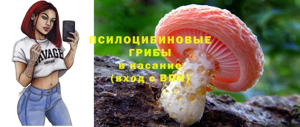 сатива Алзамай