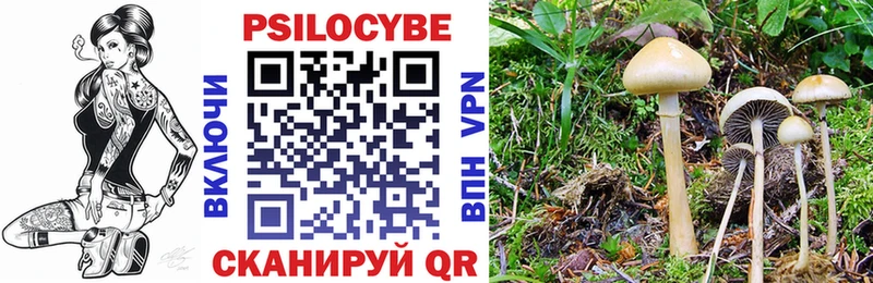 Галлюциногенные грибы MAGIC MUSHROOMS  Ирбит 